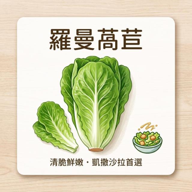 蕉您來好康農場,蘿蔓萵苣