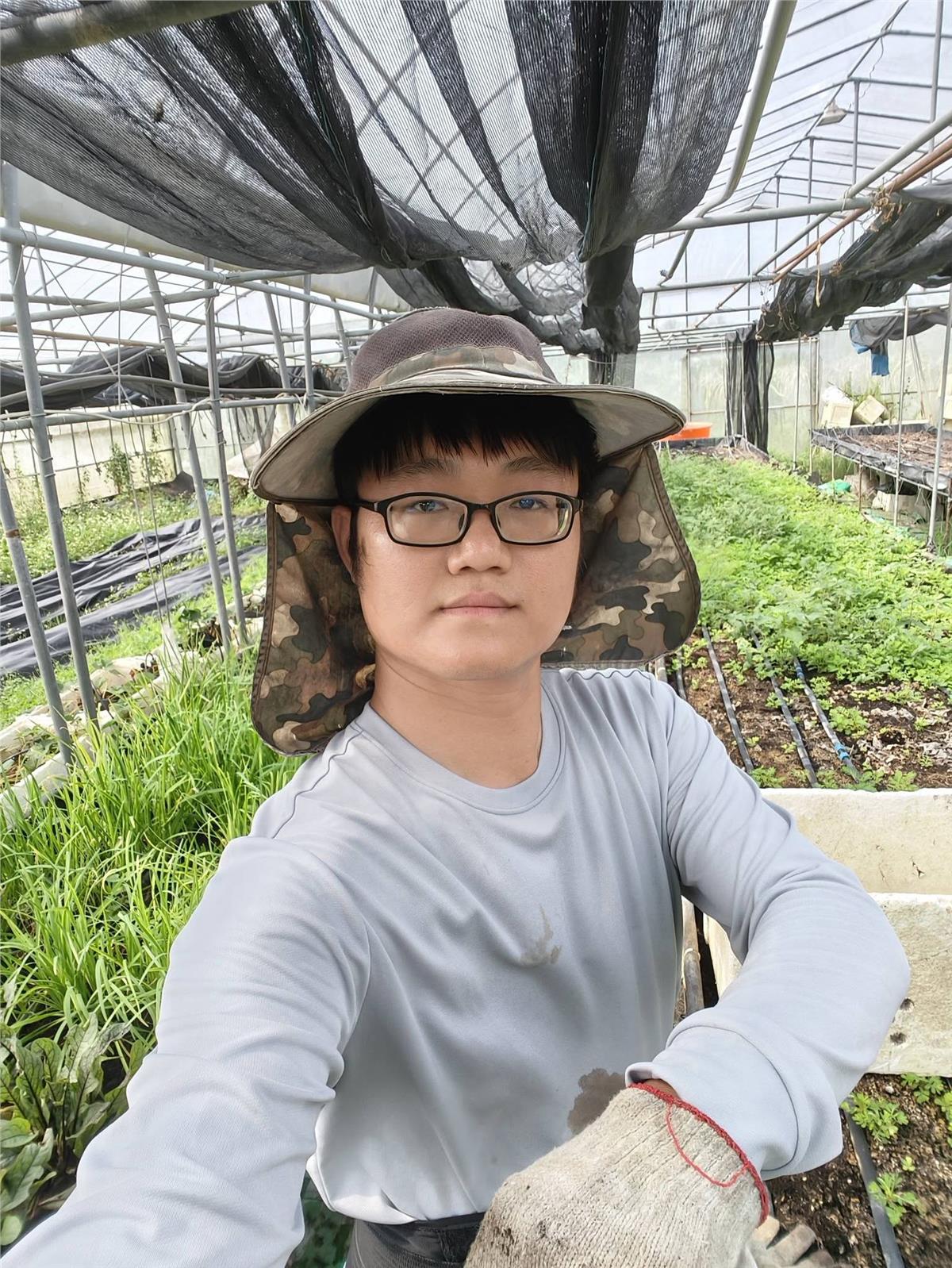 蕉您來好康農場,溫室除草