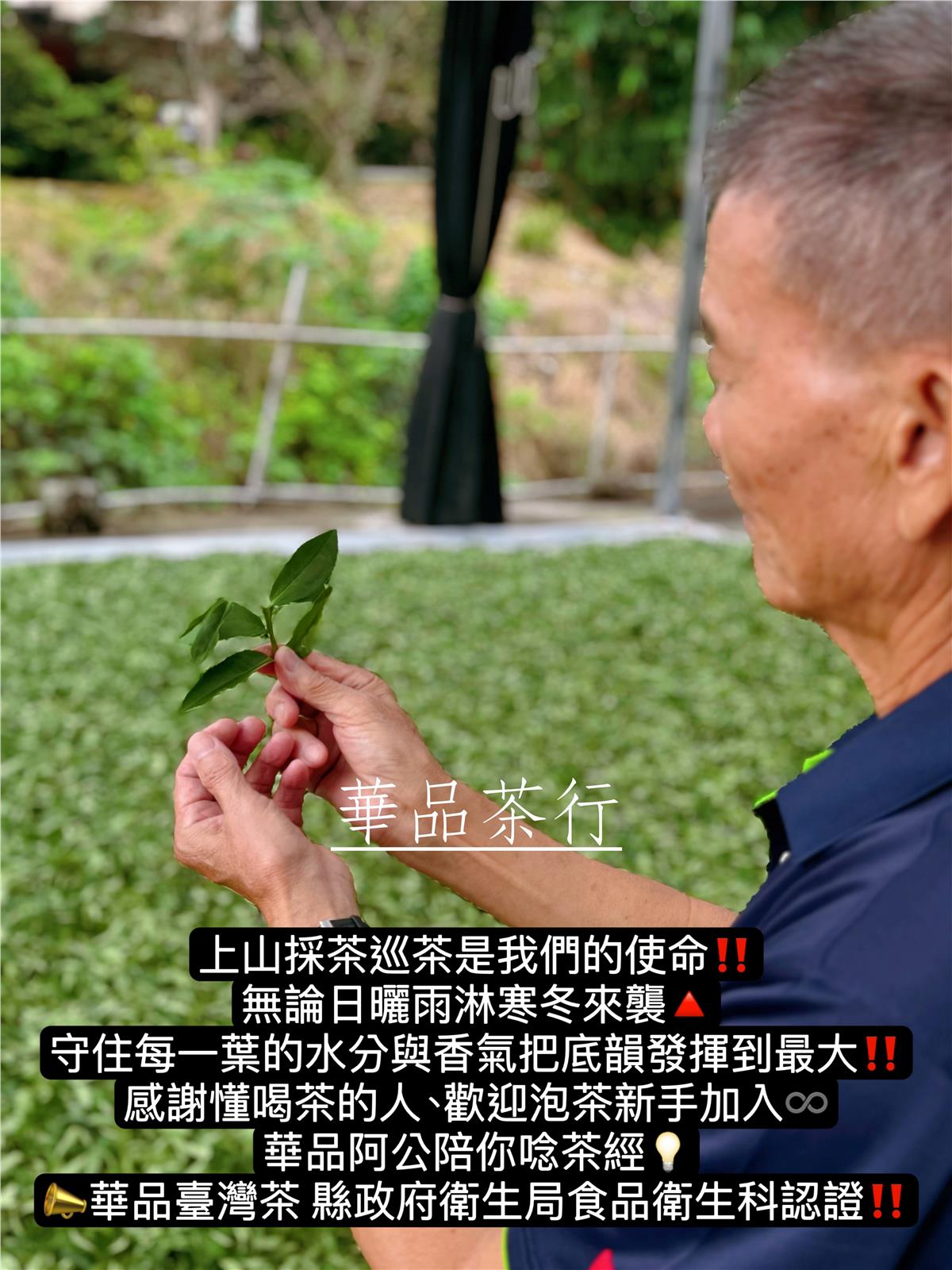 斗南華品茶行