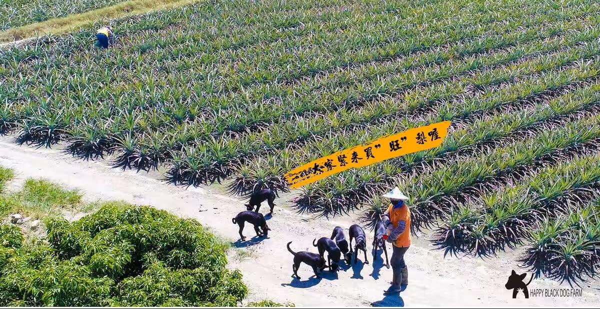旺旺酷樂農場,全家人共同守護的滋味