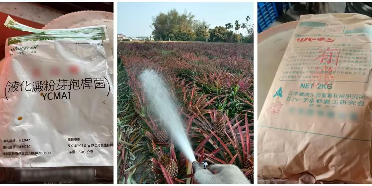 旺旺酷樂農場,以益菌灌溉的友善農法