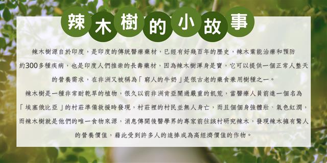 春大地,辣木茶(10包入)