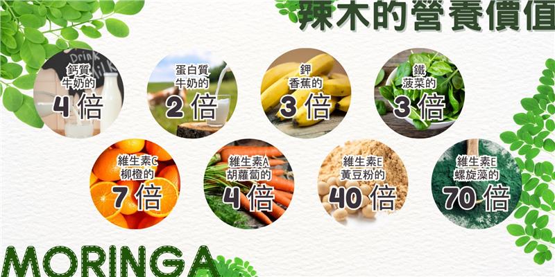 春大地,辣木人蔘料理包（燉包）