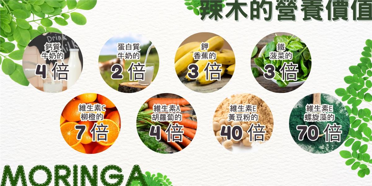 春大地,辣木茶(10包入)